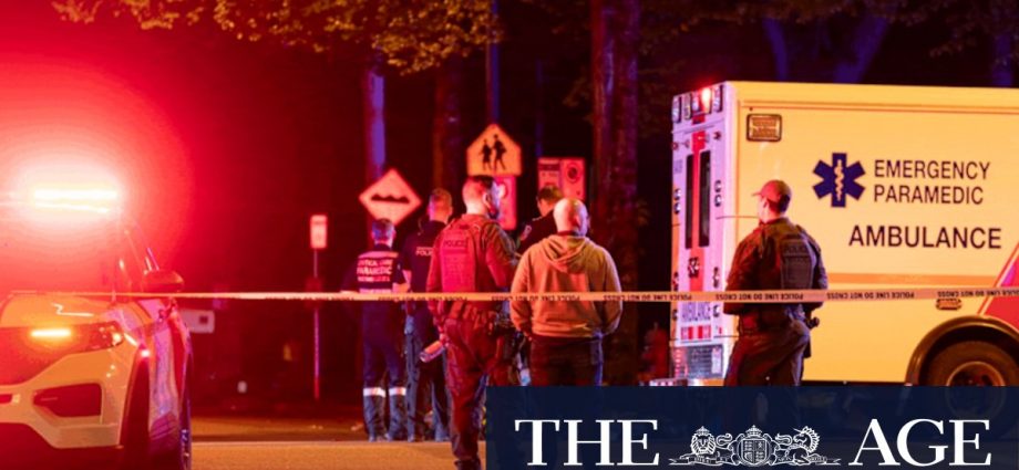 Multiple dead after car slams into crowd at Filipino festival
