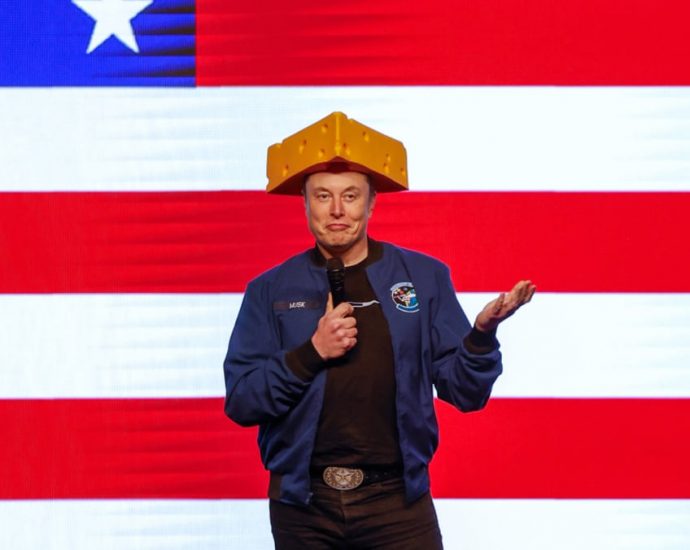 Musk will stay until he completes DOGE mission, White House says