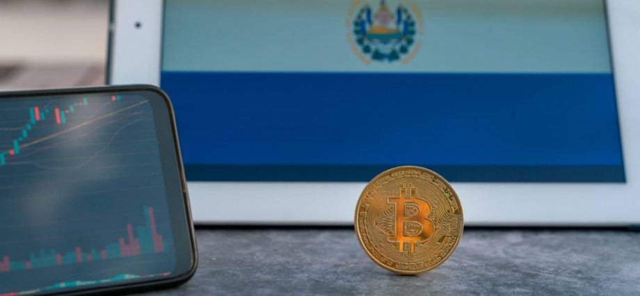 89% of Registered Bitcoin Service Providers Remain Inactive in El Salvador