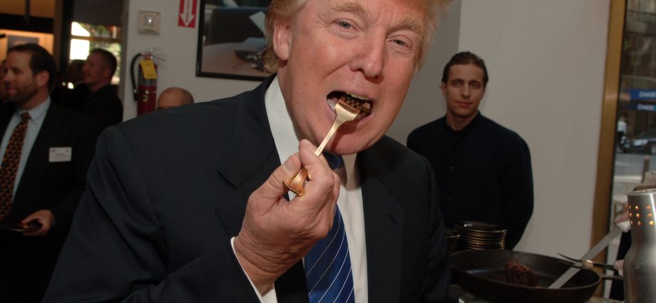 Dinner With Donald Trump Might Cost Just Over $400, Team Behind his Memecoin Says