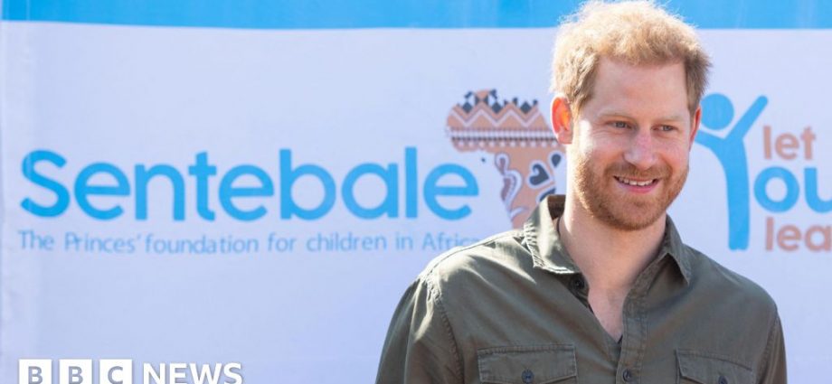 Prince Harry charity row to be investigated by watchdog