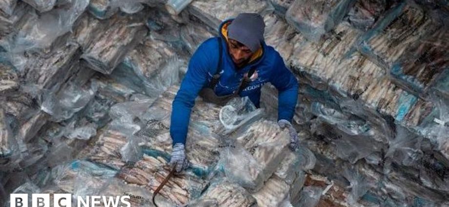 Falklands surprised to be on Trump's 'worst offenders' tariff list