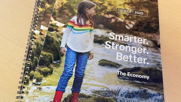 N.L. tables stay-the-course budget with projected $372M deficit and record spending