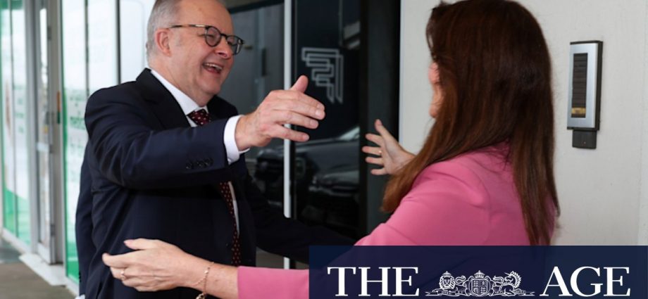 Labor Dickson candidate Ali France defended by Anthony Albanese over Peter Dutton tweet