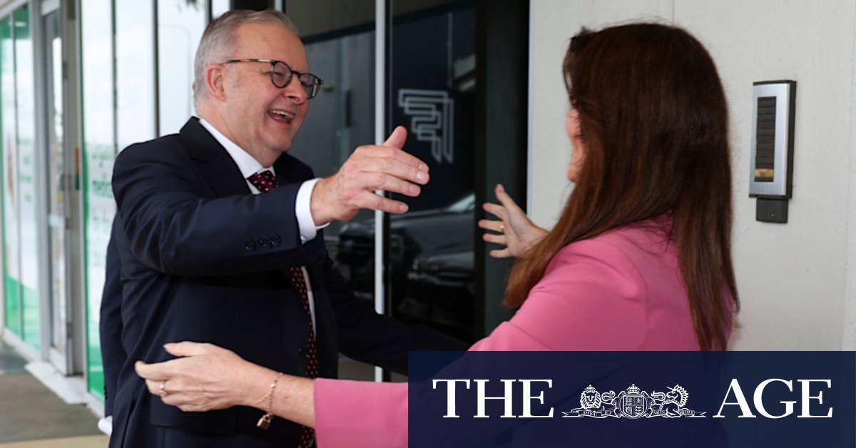 Labor Dickson candidate Ali France defended by Anthony Albanese over Peter Dutton tweet