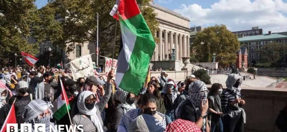 Palestinian student activist arrested at US citizenship interview