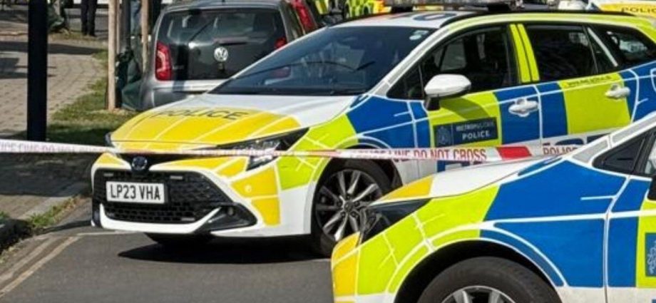 Mother and child hit by car on ‘dangerous’ school run – South London News