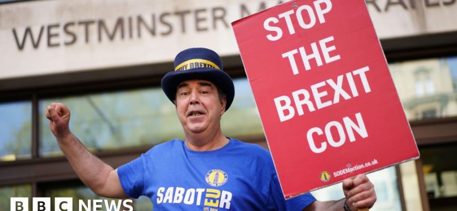 'Stop Brexit man' Steve Bray cleared over noisy protest