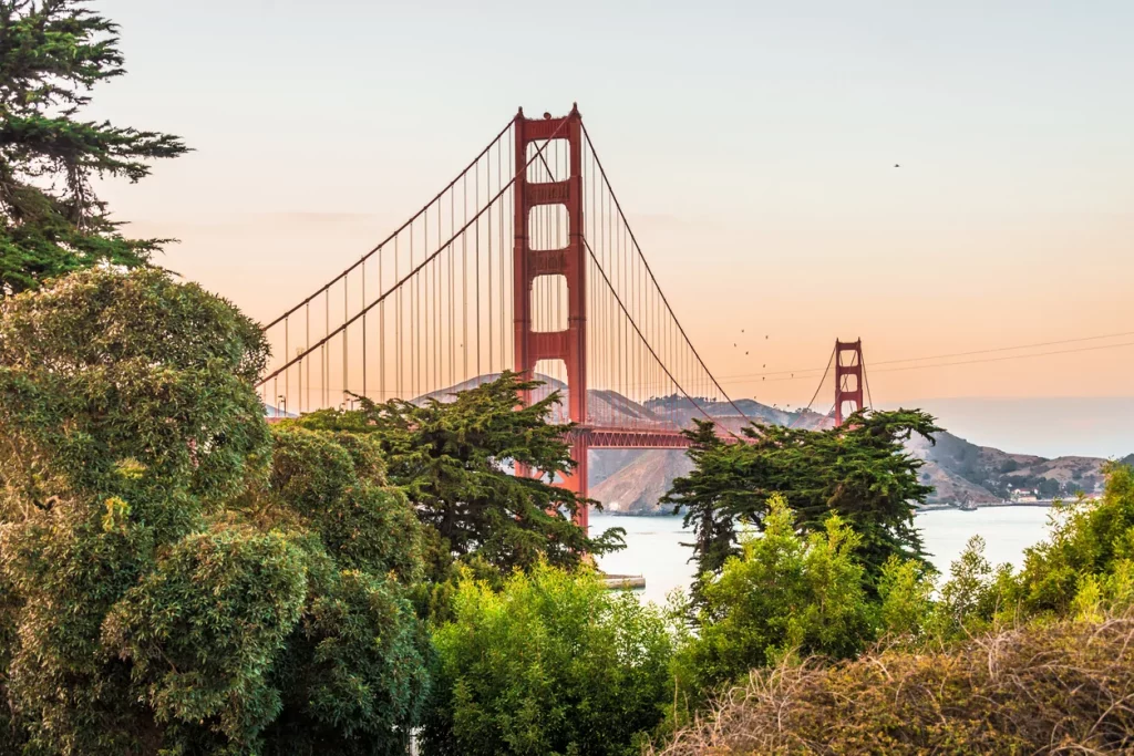 A murder on the San Francisco frontier
