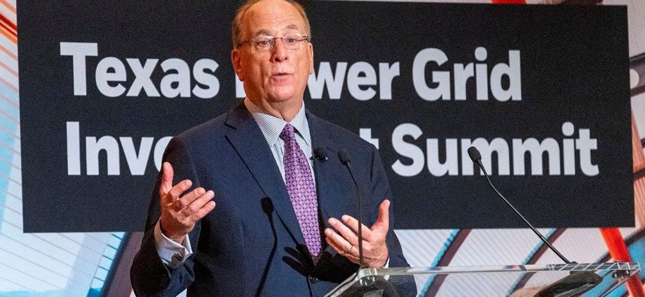 BlackRock CEO Fink's letter to investors cuts DEI references