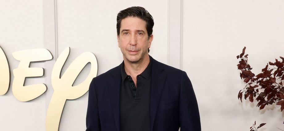 David Schwimmer Couldn't Listen to Friends Theme Song After Show Ended