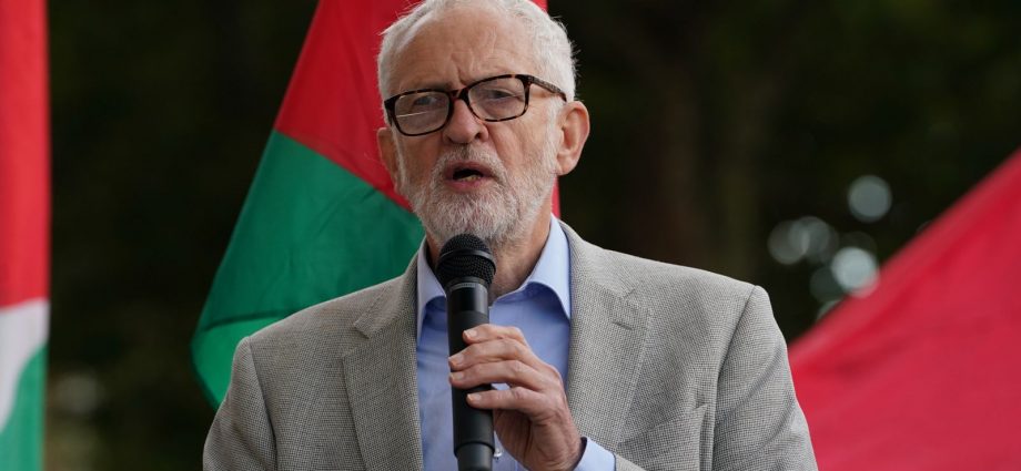 Jeremy Corbyn speaks during a Palestine Solidarity Campaign rally. File pic: PA