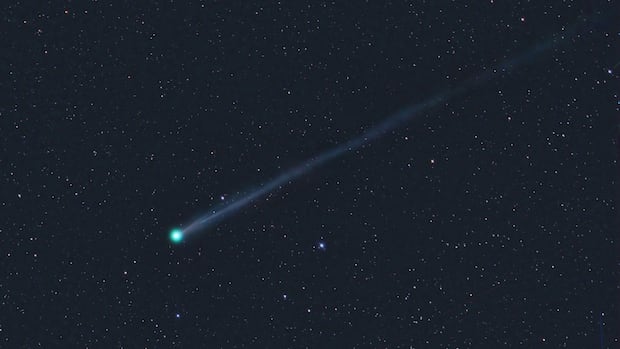 There's a new comet in the sky, and it's already visible through binoculars