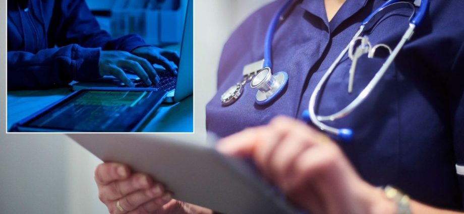 NHS 'woefully exposed' to cybercrime as Briton's personal health data 'hanging by a thread'