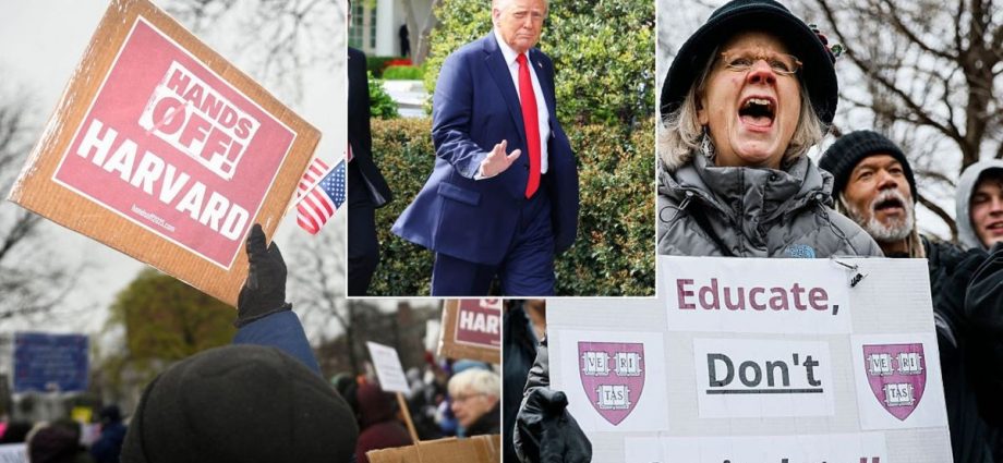 Donald Trump freezes $2bn in Harvard funding after elite university rejects demands to crack down on antisemitism