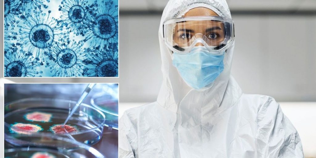 WHO tests pandemic response across 15 countries with simulated Arctic 'mammothpox' outbreak as ICUs struggle to cope