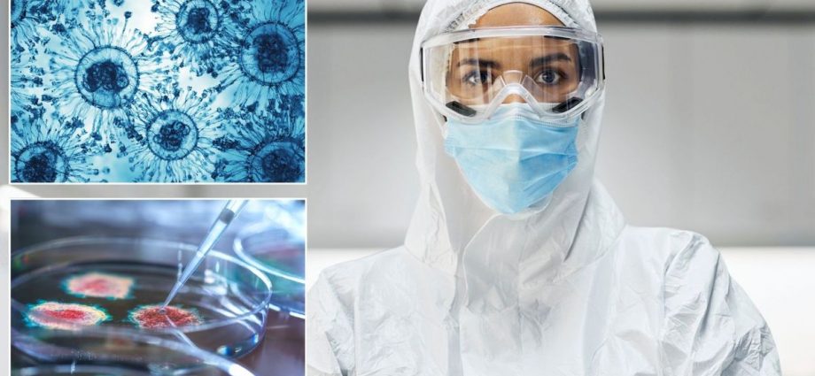 WHO tests pandemic response across 15 countries with simulated Arctic 'mammothpox' outbreak as ICUs struggle to cope