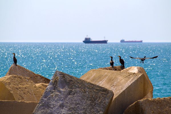 To Protect the Sea, the Kazakh Government Must Disclose Caspian Oil Agreements