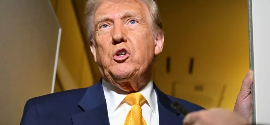 Trump receives huge ovation as chants of ‘USA’ ring out at UFC 314