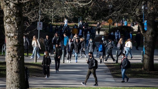 UBC professors taking school to court over 'political' actions by administration