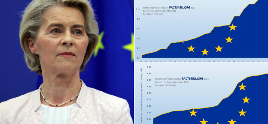 SHOCK graphs show Brexit Britain dodged a bullet as EU prepares 'level playing field' labour costs on members