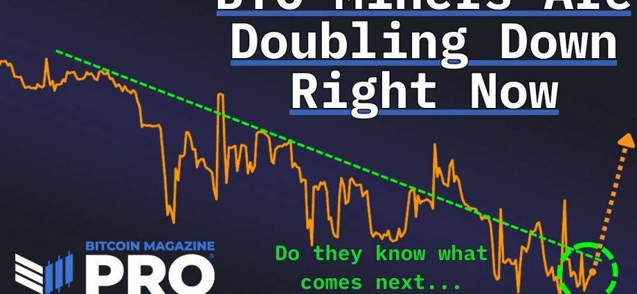 Bitcoin Magazine Logo