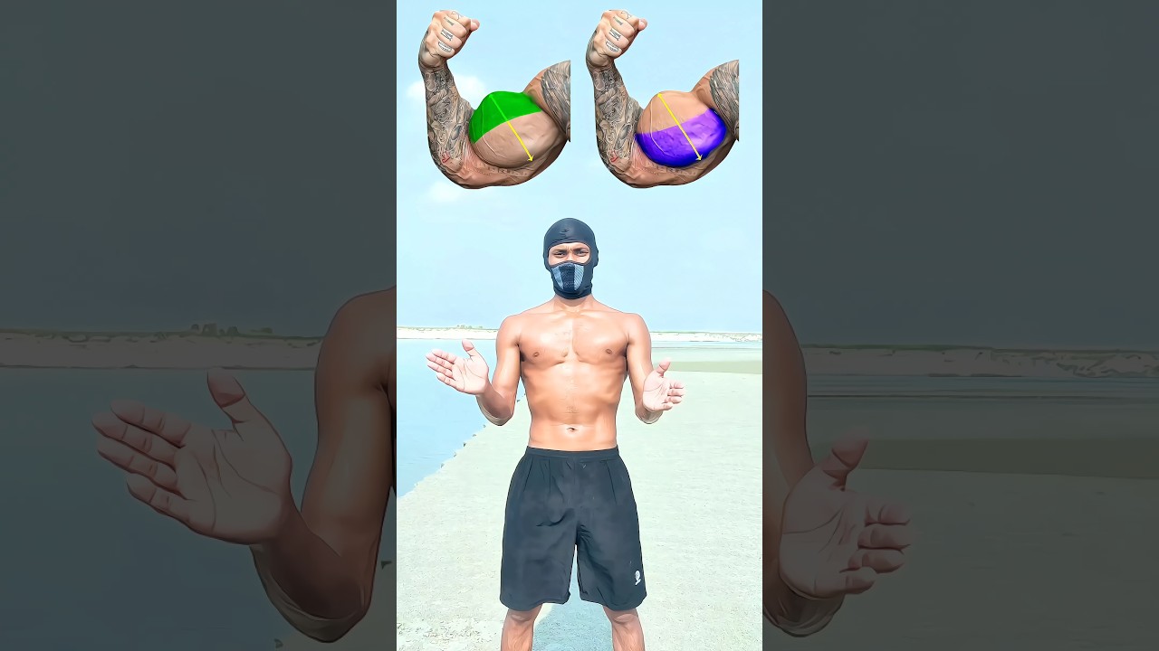 Biceps Tricep And Forarm workout || #shorts #workout #exercise @minifitness