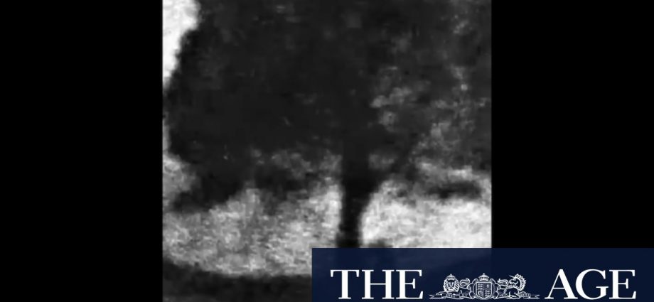 Video shows felling of Sycamore Gap tree