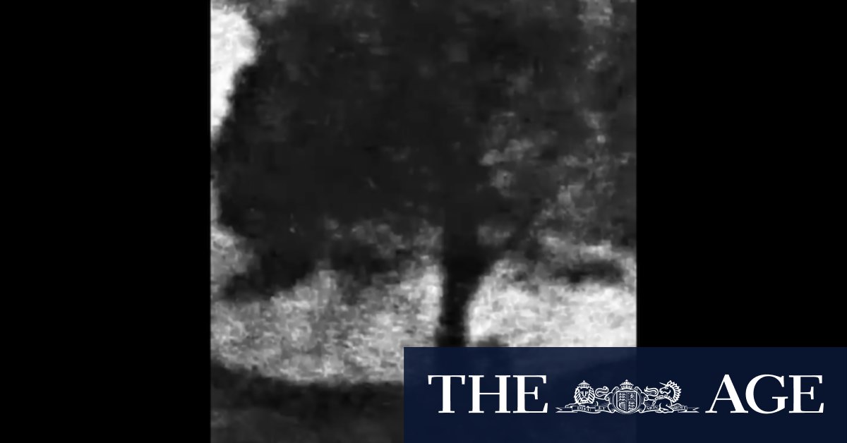 Video shows felling of Sycamore Gap tree