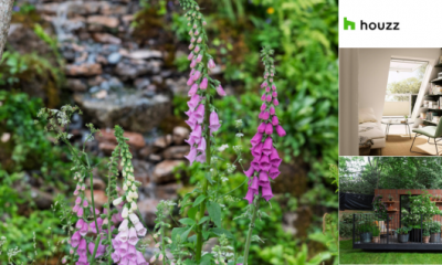 Inspiration From The Chelsea Flower Show