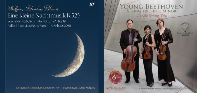 Classical music with 25% off vinyl at Vinyl Castle