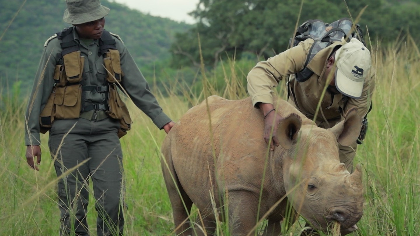 Prince William 'Guardians' Docuseries on Rangers on BBC Earth Digital