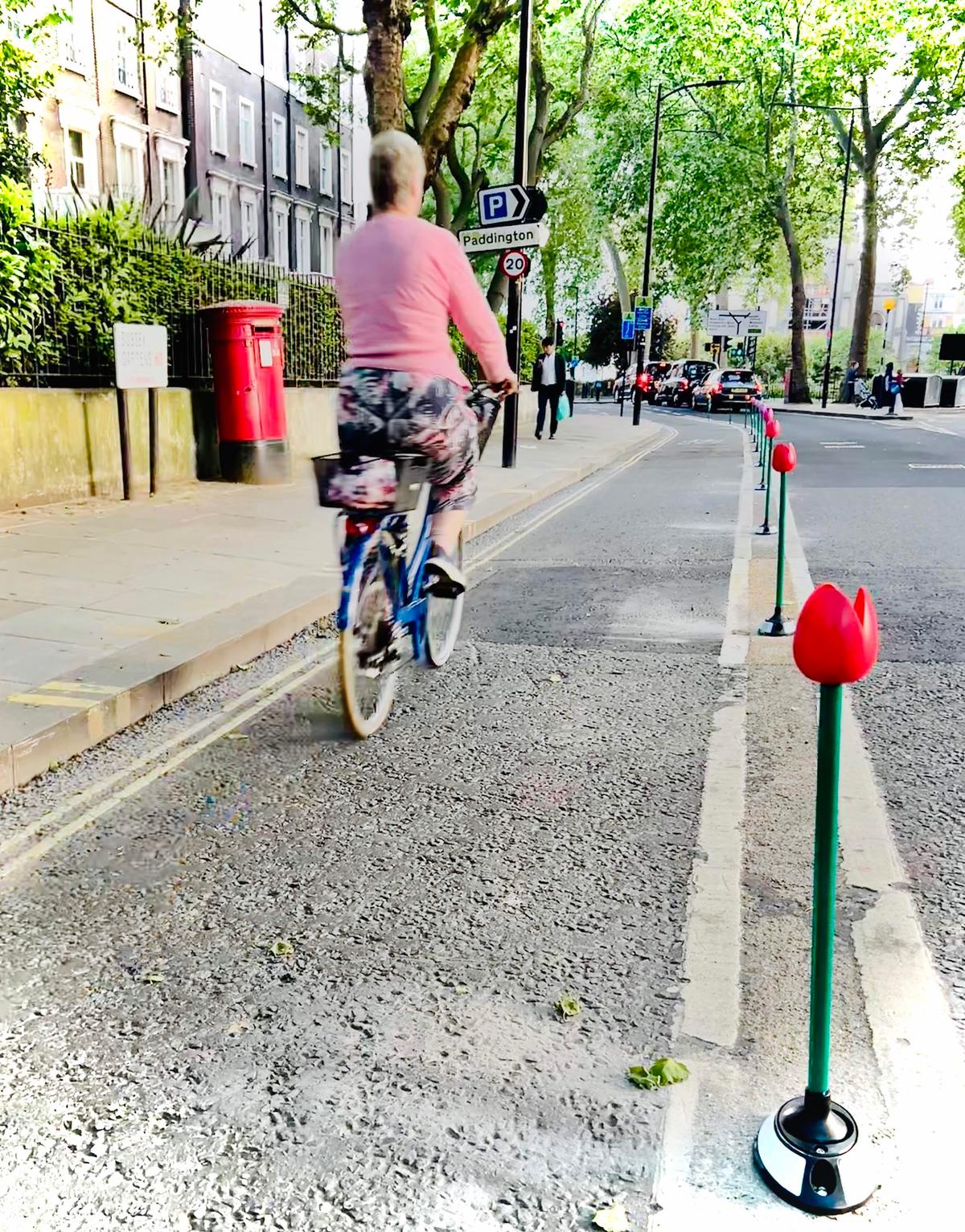 Petal power: central London cycle lane lined with tulip wands made from recycled plastic