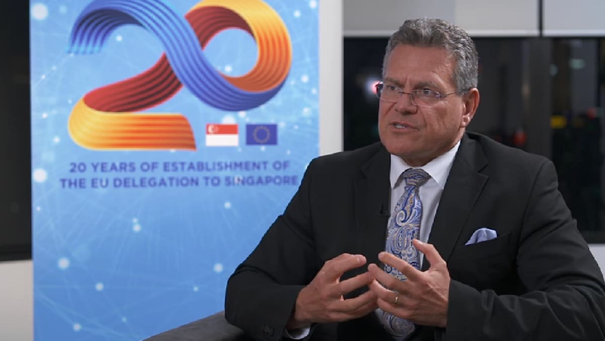 EU seeking new alliances as it braces for potential US trade fallout, says its trade chief