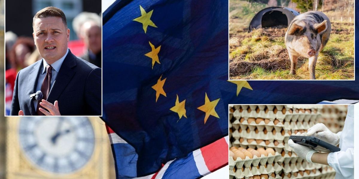 Three food scandals that rocked the EU during Britain’s membership as Keir Starmer embraces alignment in Brexit U-turn