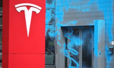 TSLA, BNTX, DKNG, STLD and more