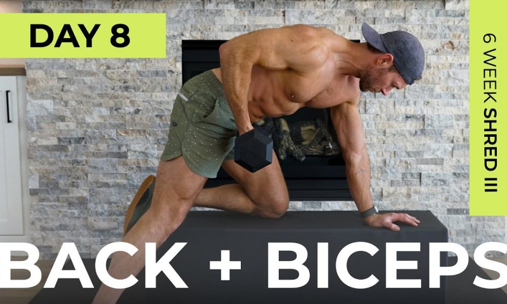 Day 8: 30 Min BACK & BICEPS Dumbbell Workout [Pull Workout] // 6WS3