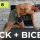 Day 8: 30 Min BACK & BICEPS Dumbbell Workout [Pull Workout] // 6WS3