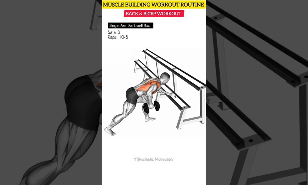 8-Week Muscle Gain: Day 2 Back & Bicep Workout #backworkout #bicepsworkout
