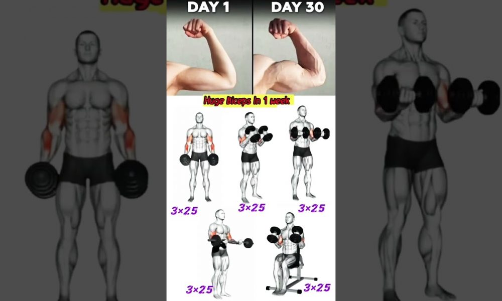 Biceps Workout Tips 💪💥🔥#biceps #fashion #recipe #aesthetic #workout #gym #gymlife #armworkoutathome