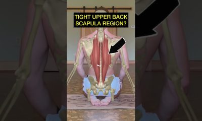 Movements for a tight upper back 🖤 Hope these help!! #backpain #backstiffness #shorts #backpaintips