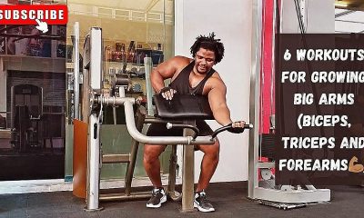 Arms Workout (Biceps, Triceps and Forearms)
