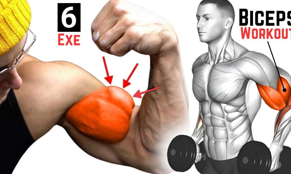 How to Get Bigger Biceps FAST | Top 6 Bicep Exercises