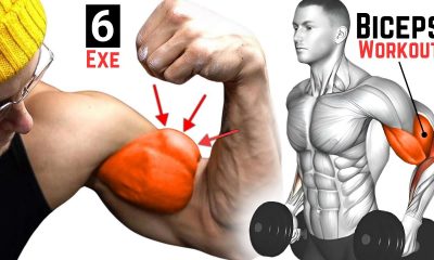 How to Get Bigger Biceps FAST | Top 6 Bicep Exercises