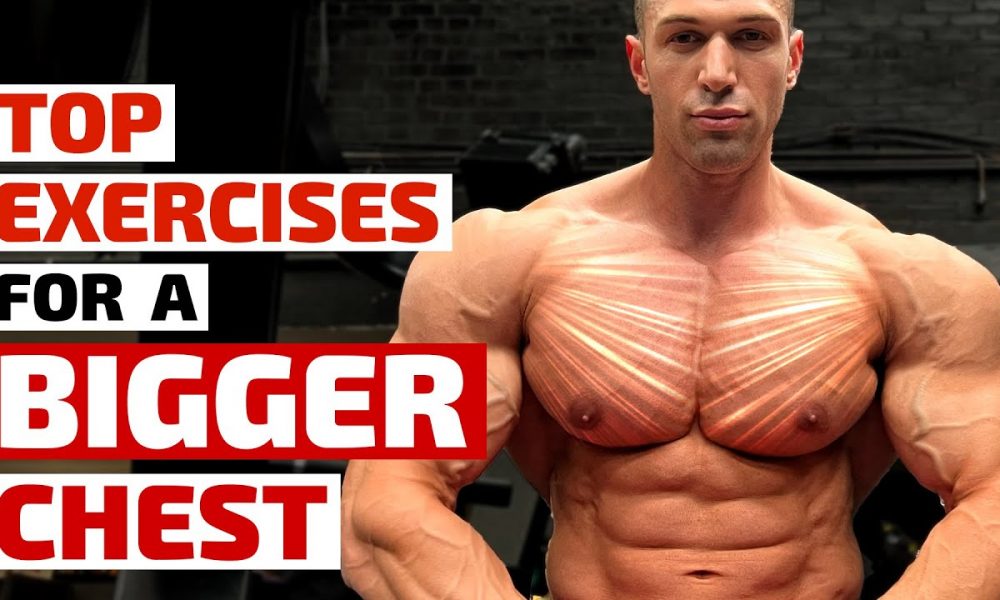 Top Trainers Agree, These Are the Best Exercises for Building a Bigger Chest