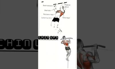 I Tried Chin-Ups For Bigger Biceps  #biggerbiceps