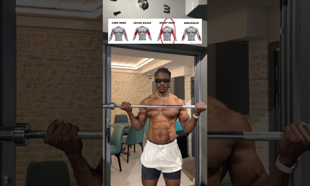 Bicep exercise, long head, short head, brachialis #motivation #musclebuliding #gym
