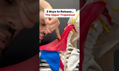 3 Ways to Release the Upper Trapezius Muscle #neckpainrelief #neckpain #shoulderpain