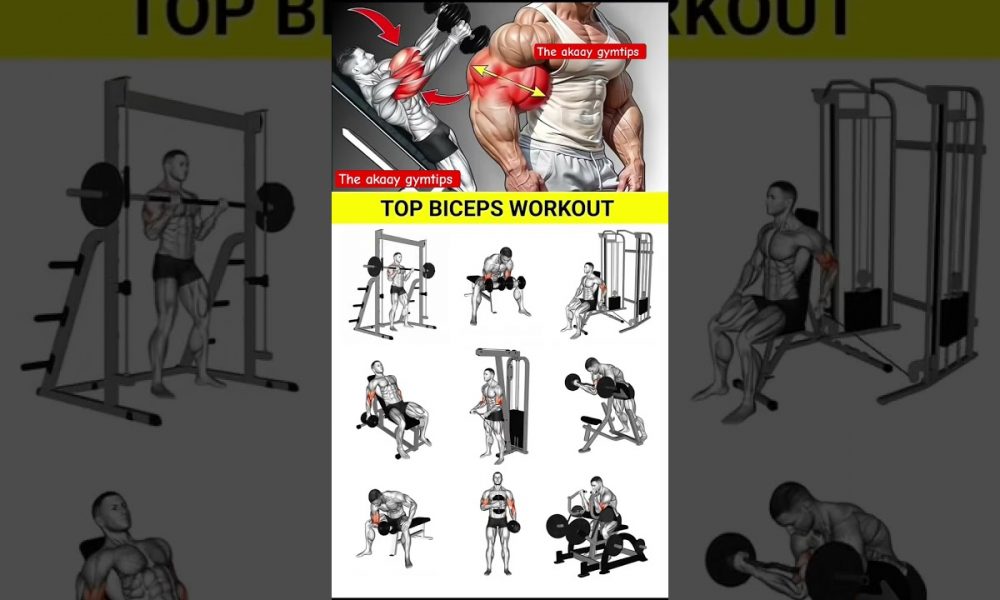 top 9 best Bicep workout tips🔥#dumbbell bicep #biceps #trending #gym #shorts # the akaay gymtips⚔️💪🏻