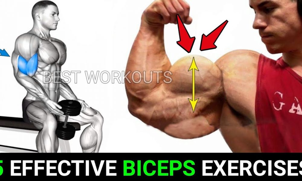 5 Effective Biceps Exercises With Dumbbells - BEST WORKOUTS